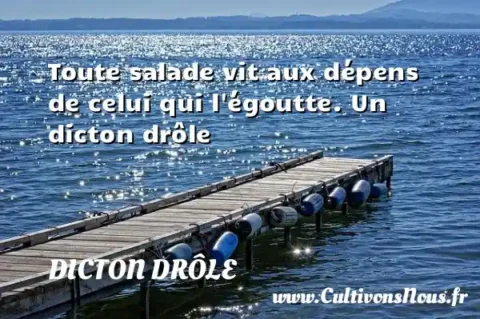 Toute salade vit aux dépens de celui qui l égoutte. Un dicton drôle DICTON DRÔLE