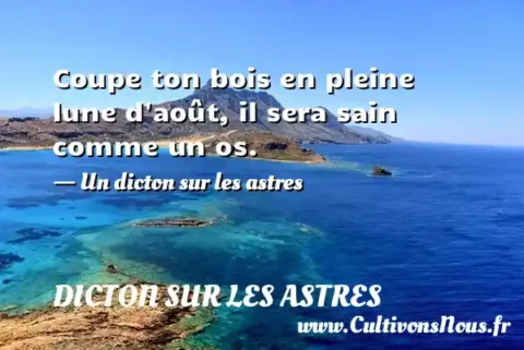 Coupe ton bois en pleine lune d août, il sera sain comme un os. - Un dicton sur les astres DICTON SUR LES ASTRES