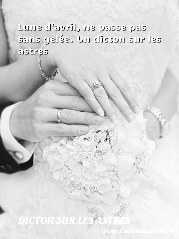 Lune d’avril, ne passe pas sans gelée. - Dicton sur les astres