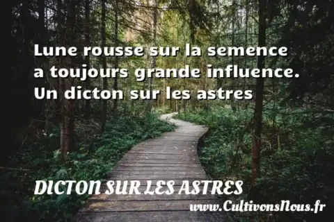 Lune rousse sur la semence a toujours grande influence. Un dicton sur les astres DICTON SUR LES ASTRES
