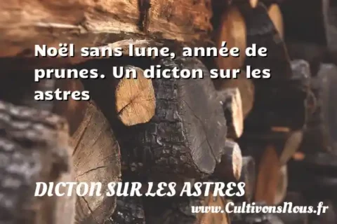Noël sans lune, année de prunes. Un dicton sur les astres DICTON SUR LES ASTRES