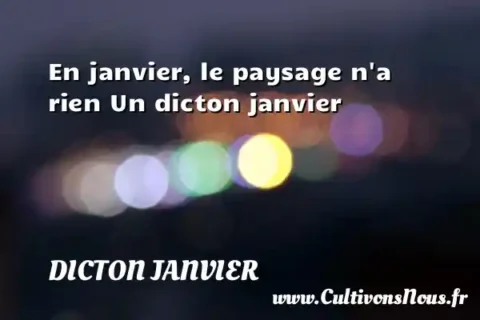 En janvier, le paysage n a rien Un dicton janvier DICTON JANVIER