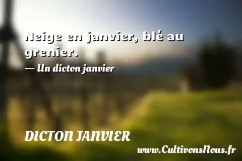 Neige en janvier, blé au grenier. - Un dicton janvier DICTON JANVIER