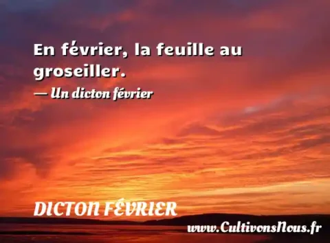 En février, la feuille au groseiller. - Un dicton février DICTON FÉVRIER