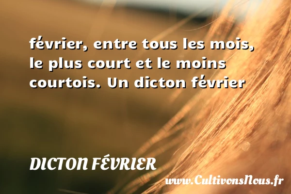 février, entre tous les mois, le plus court et le moins - Dicton février