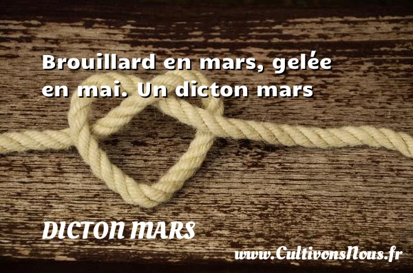 Brouillard en mars, gelée en mai. - Dicton mars