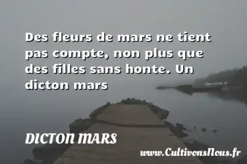 Des fleurs de mars ne tient pas compte, non plus que des filles sans honte. Un dicton mars DICTON MARS