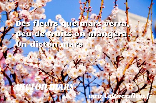 Des fleurs que mars verra, peu de fruits on - Dicton mars