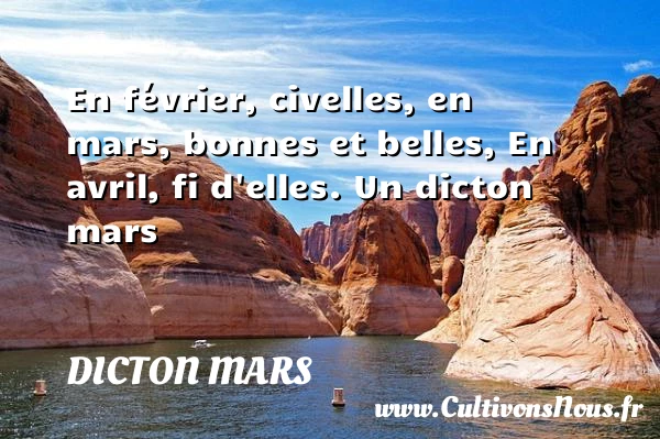 En février, civelles, en mars, bonnes et belles, En avril, fi - Dicton mars
