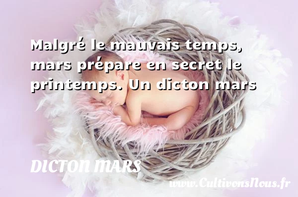 Malgré le mauvais temps, mars prépare en secret le - Dicton mars