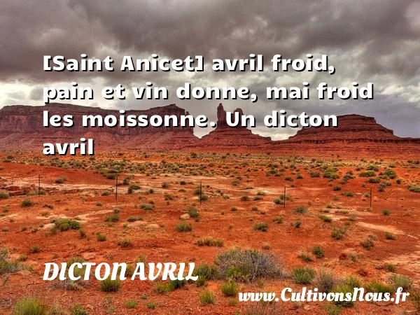 [Saint Anicet] avril froid, pain et vin donne, mai froid - Dicton avril