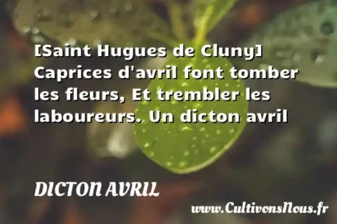 [Saint Hugues de Cluny] Caprices d avril font tomber les fleurs, Et trembler les laboureurs. Un dicton avril DICTON AVRIL