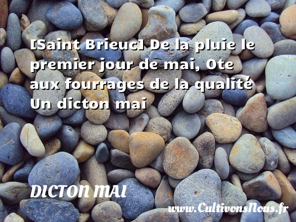[Saint Brieuc] De la pluie le premier jour de mai, - Dicton mai