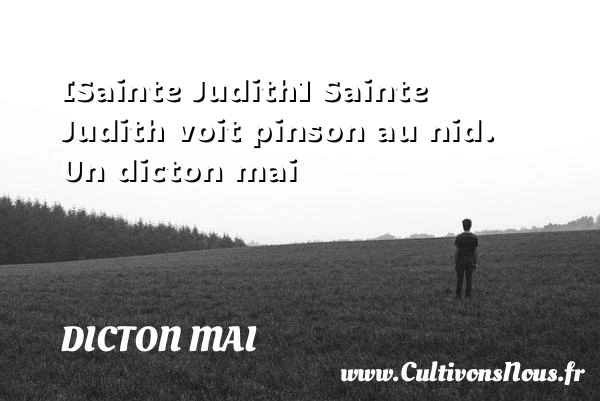 [Sainte Judith] Sainte Judith voit pinson au nid. - Dicton mai
