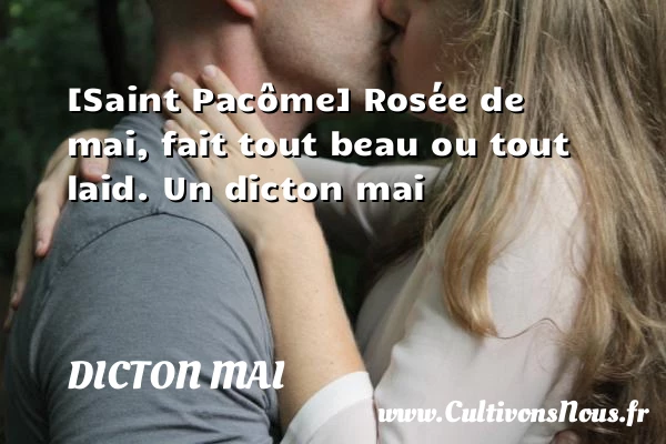 [Saint Pacôme] Rosée de mai, fait tout beau ou tout - Dicton mai