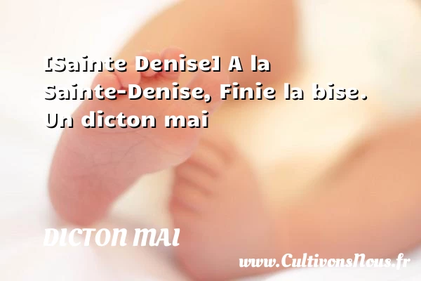 [Sainte Denise] A la Sainte-Denise, Finie la bise. - Dicton mai