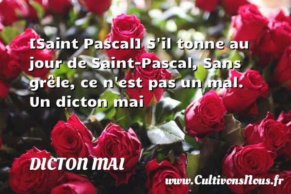 [Saint Pascal] S’il tonne au jour de Saint-Pascal, - Dicton mai