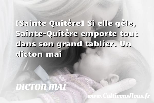 [Sainte Quitère] Si elle gèle, Sainte-Quitère emporte tout dans son grand - Dicton mai