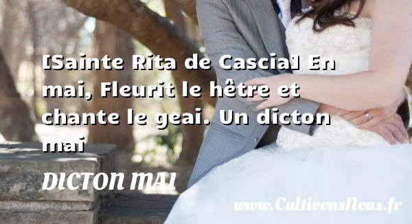 [Sainte Rita de Cascia] En mai, Fleurit le hêtre et chante - Dicton mai