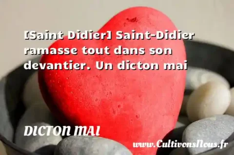 [Saint Didier] Saint-Didier ramasse tout dans son devantier. Un dicton mai DICTON MAI