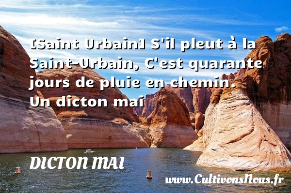[Saint Urbain] S’il pleut à la Saint-Urbain, C’est quarante jours - Dicton mai