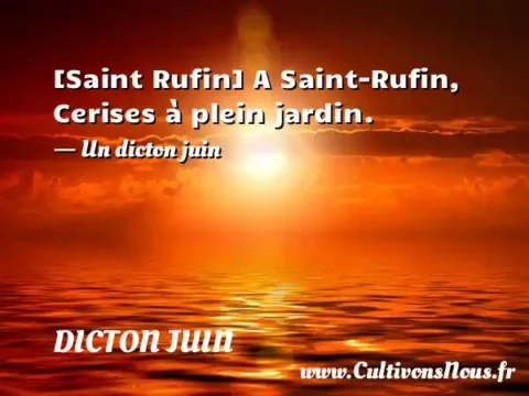 [Saint Rufin] A Saint-Rufin, Cerises à plein jardin. - Un dicton juin DICTON JUIN