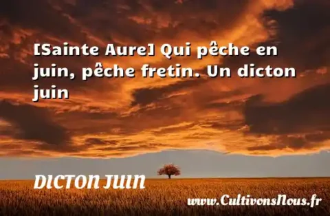 [Sainte Aure] Qui pêche en juin, pêche fretin. Un dicton juin DICTON JUIN