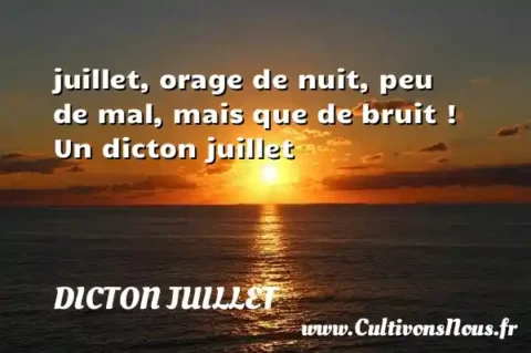 juillet, orage de nuit, peu de mal, mais que de bruit ! Un dicton juillet DICTON JUILLET
