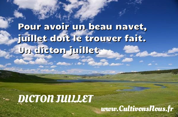 Pour avoir un beau navet, juillet doit le trouver - Dicton juillet