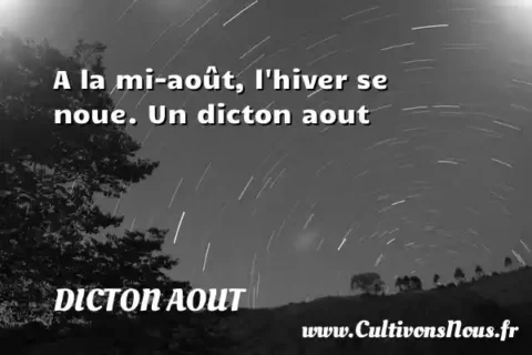 A la mi-août, l hiver se noue. Un dicton aout DICTON AOUT