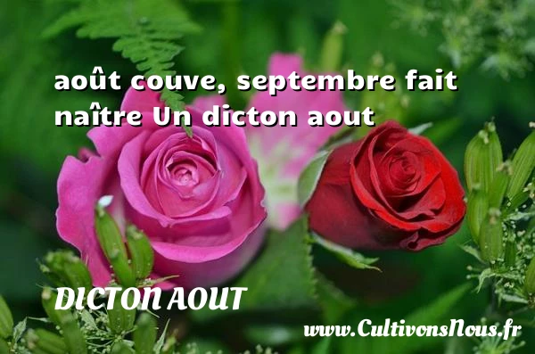 août couve, septembre fait naître - Dicton aout