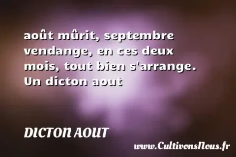 août mûrit, septembre vendange, en ces deux mois, tout bien s arrange. Un dicton aout DICTON AOUT