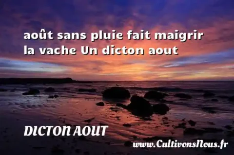 août sans pluie fait maigrir la vache Un dicton aout DICTON AOUT