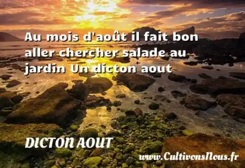 Au mois d août il fait bon aller chercher salade au jardin Un dicton aout DICTON AOUT