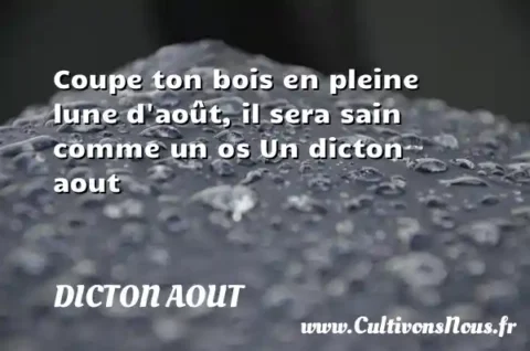 Coupe ton bois en pleine lune d août, il sera sain comme un os Un dicton aout DICTON AOUT