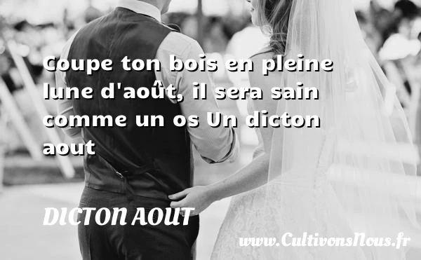 Coupe ton bois en pleine lune d’août, il sera sain - Dicton aout