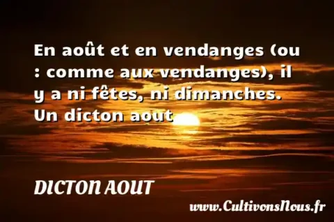 En août et en vendanges (ou : comme aux vendanges), il y a ni fêtes, ni dimanches. Un dicton aout DICTON AOUT