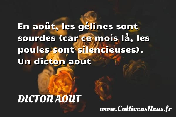 En août, les gélines sont sourdes (car ce mois là, les - Dicton aout