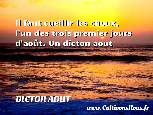Il faut cueillir les choux, l’un des trois - Dicton aout