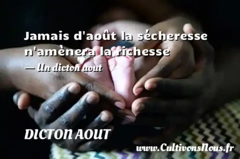 Jamais d août la sécheresse n amènera la richesse - Un dicton aout DICTON AOUT
