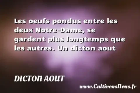Les oeufs pondus entre les deux Notre-Dame, se gardent plus longtemps que les autres. Un dicton aout DICTON AOUT