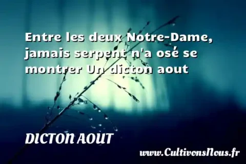 Entre les deux Notre-Dame, jamais serpent n a osé se montrer Un dicton aout DICTON AOUT