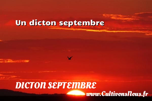 - Dicton septembre
