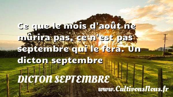 Ce que le mois d’août ne mûrira pas, ce - Dicton septembre