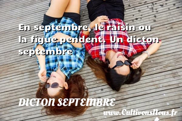 En septembre, le raisin ou la figue pendent. - Dicton septembre