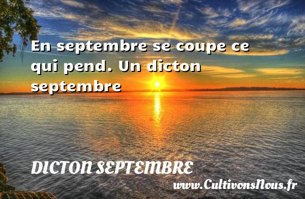 En septembre se coupe ce qui pend. - Dicton septembre