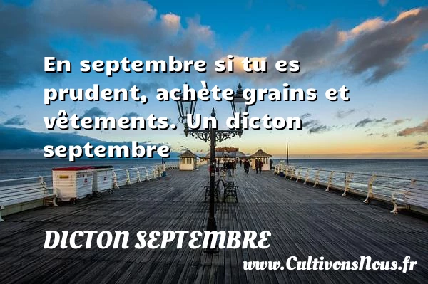 En septembre si tu es prudent, achète grains - Dicton septembre