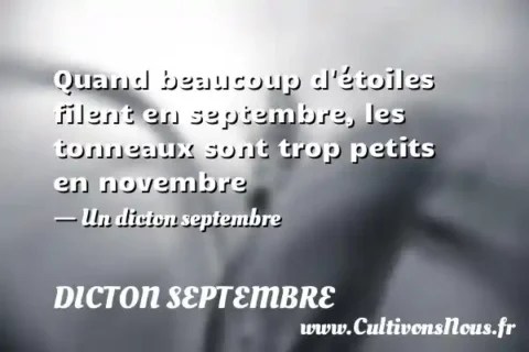 Quand beaucoup d étoiles filent en septembre, les tonneaux sont trop petits en novembre - Un dicton septembre DICTON SEPTEMBRE