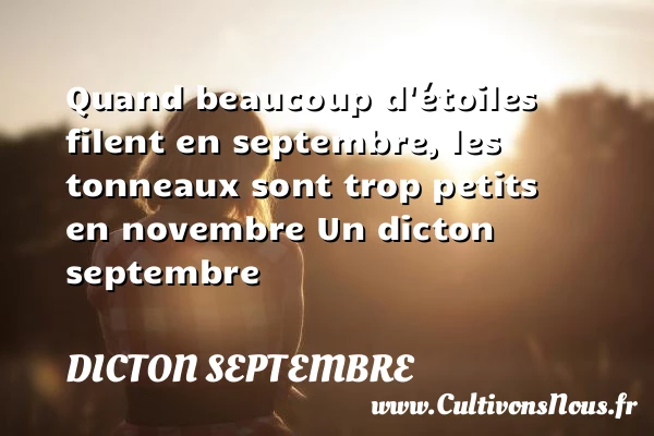 Quand beaucoup d’étoiles filent en septembre, les tonneaux - Dicton septembre