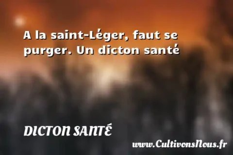 A la saint-Léger, faut se purger. Un dicton santé DICTON SANTÉ